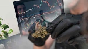 Best Cannabis Stocks To Buy Long Term? 2 To Watch Before August