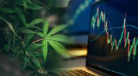 Top Marijuana Stocks To Buy Now? 4 Showing Momentum In Early July