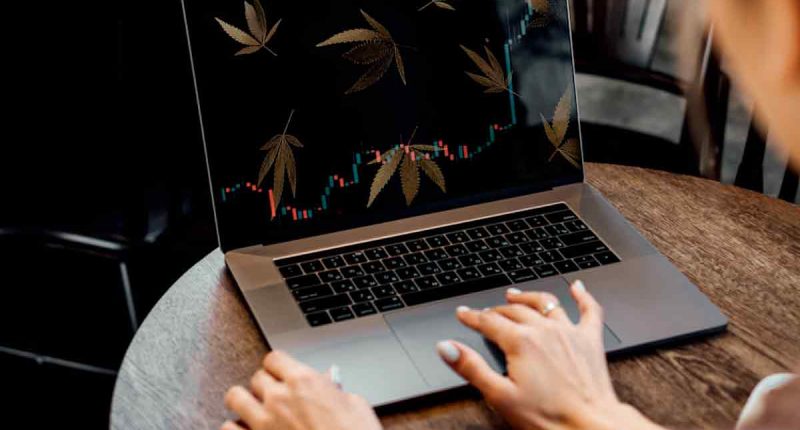 Top Marijuana Stocks For Your Long Term Portfolio In 2022