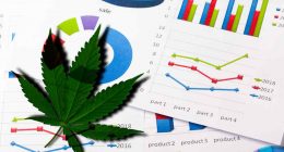Top Marijuana Stocks To Buy Long Term? 3 Cannabis REITs With Dividends