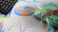 Top Marijuana Stocks Mid July 2022