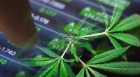 Top Pot Stock To Watch In July