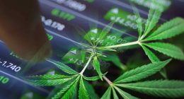 Top Pot Stock To Watch In July
