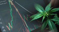 Top Pot Stocks On Watch In July 2022