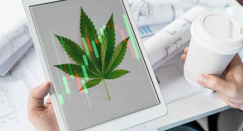 Top Pot Stocks Right Now In July 2022