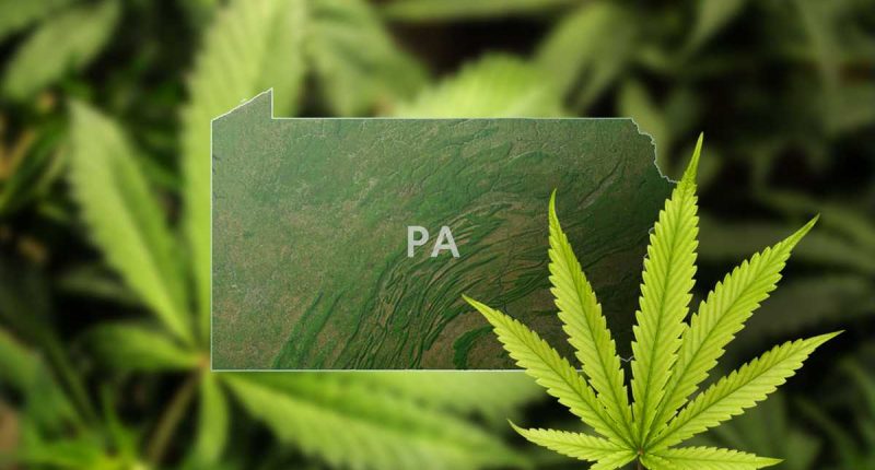 How Will Marijuana Stocks React After The Governor Of Pennsylvania Signs A New Cannabis Bill?