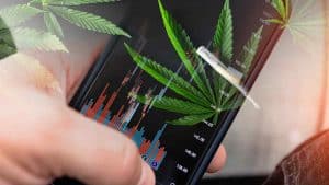 Looking For Marijuana Stocks To Buy? 3 Top US Pot Stocks For September