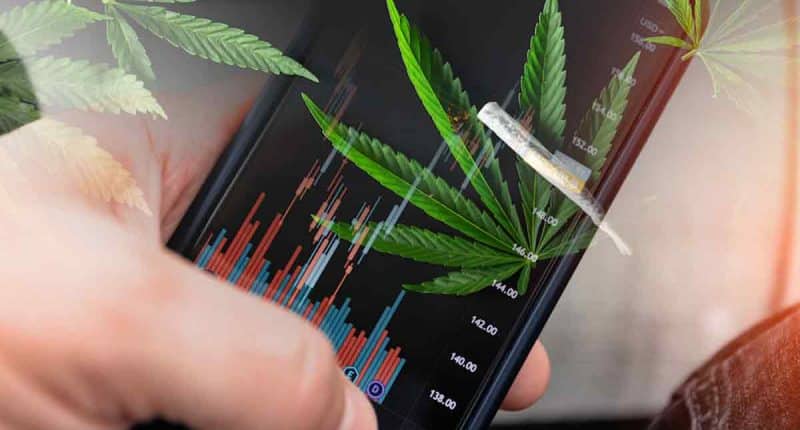 Looking For Marijuana Stocks To Buy? 3 Top US Pot Stocks For September