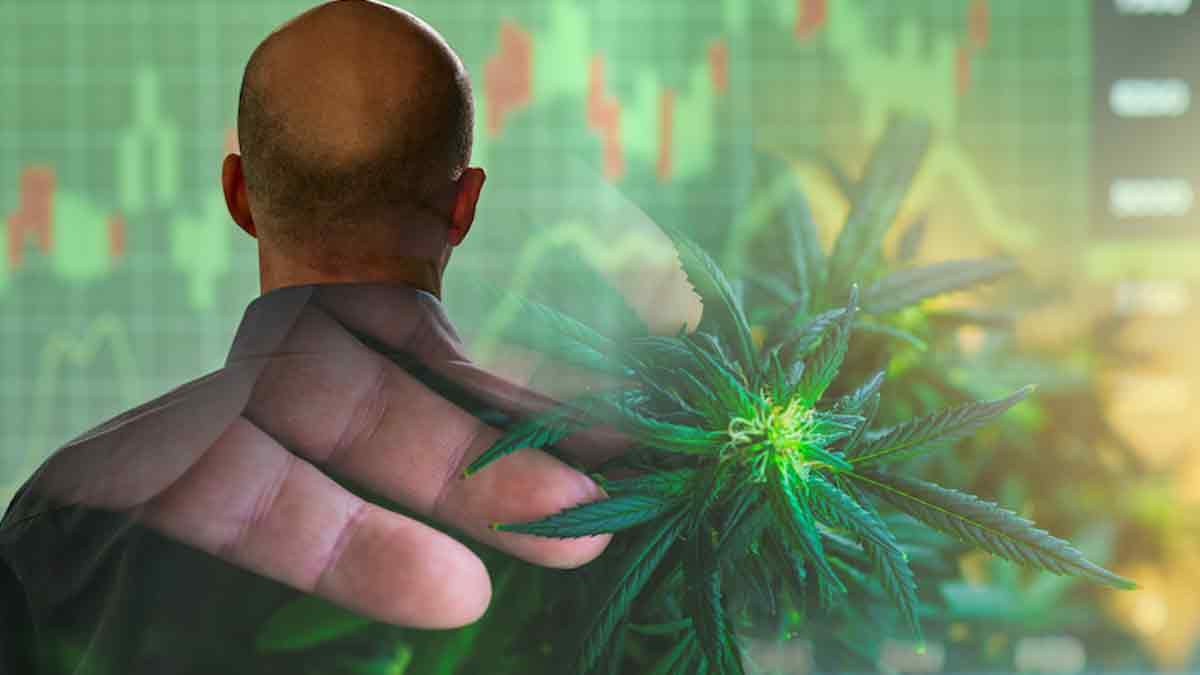 Best Cannabis Stocks To Buy In August