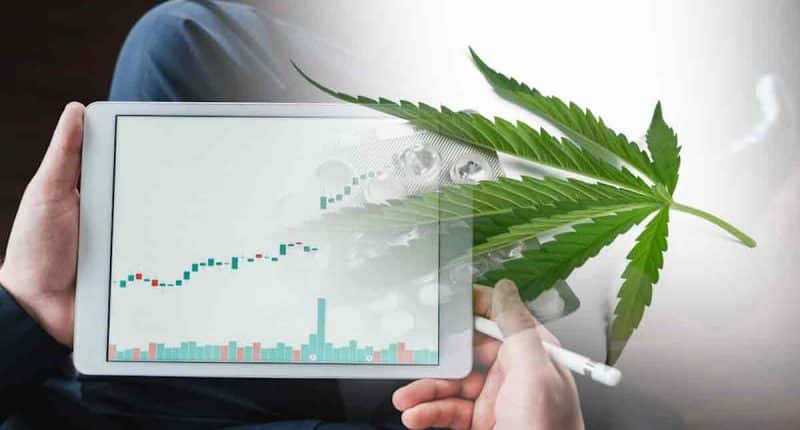 Best Cannbis Stocks To Buy In February Right Now