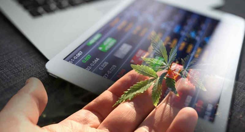 The Top 3 US Marijuana Stocks to Add to Your Watchlist for July 4th
