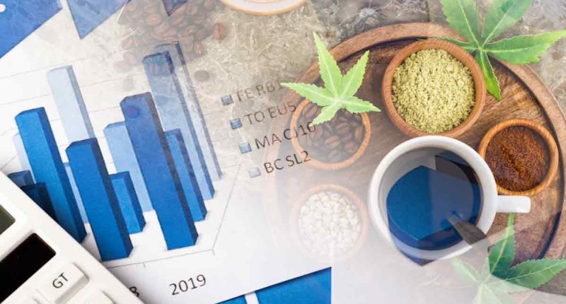 Best Pot Stocks Right Now In August 2022