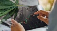 Best Pot Stocks To Buy In August 2024