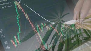 Top Marijuana Penny Stocks To Watch In August? 3 Canadian Pot Stocks For Your List