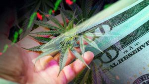 U.S. Marijuana Stocks Positioned for Growth as Reform Discussions Continue