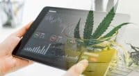 Cannabis Stocks For August 2022 Watchlist