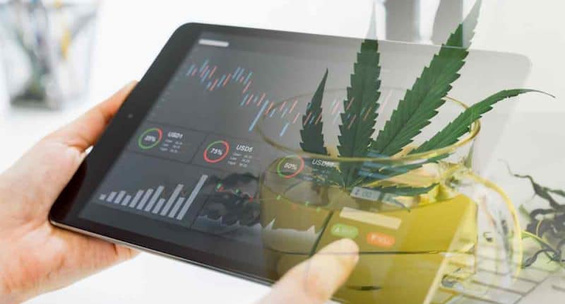 Cannabis Stocks For August 2022 Watchlist