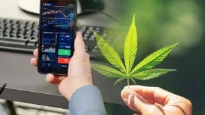 Top Cannabis Stocks To Buy Long Term? 3 Marijuana REITs For August 2022