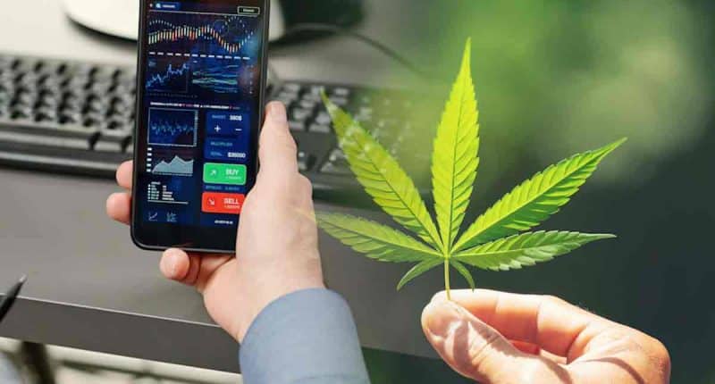 Top Cannabis Stocks To Buy Long Term? 3 Marijuana REITs For August 2022