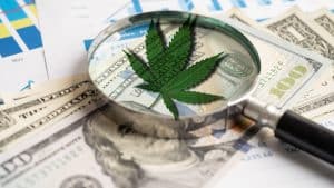 Top US Marijuana Stocks To Buy? 3 For Your Watchlist Before September