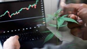 Are Top Marijuana Stocks A Buy In August? 2 Ancillary Pot Stocks To Watch Now