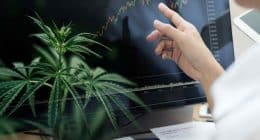 Best Cannabis Stocks To Watch For Q4 2022