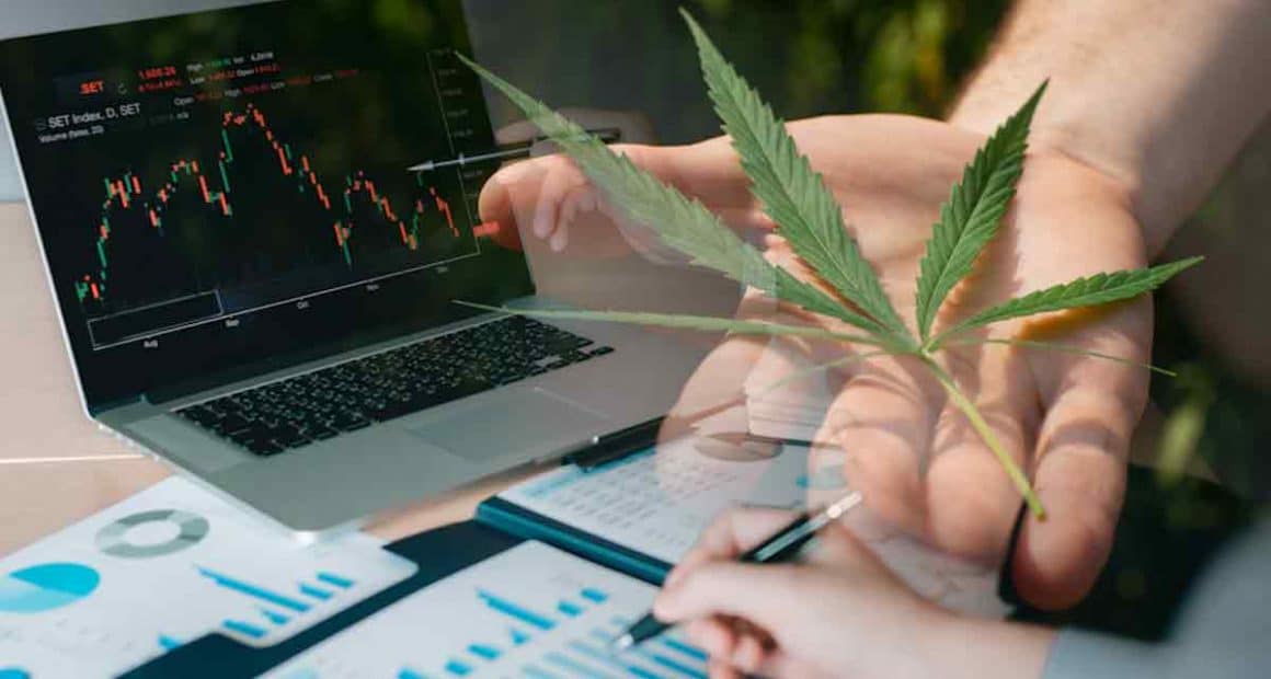 This Year’s Top 3 Canadian Marijuana Stocks Marijuana Stocks