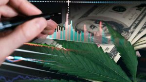 Top Marijuana Penny Stocks To Buy Now? 3 To Watch Under $2
