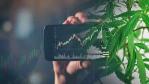 Best US Cannabis Stocks To Add To Your Watchlist This Week
