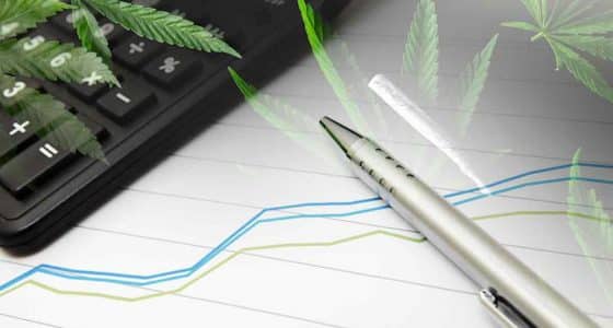 Best Cannabis Stocks Right Now For August 2025
