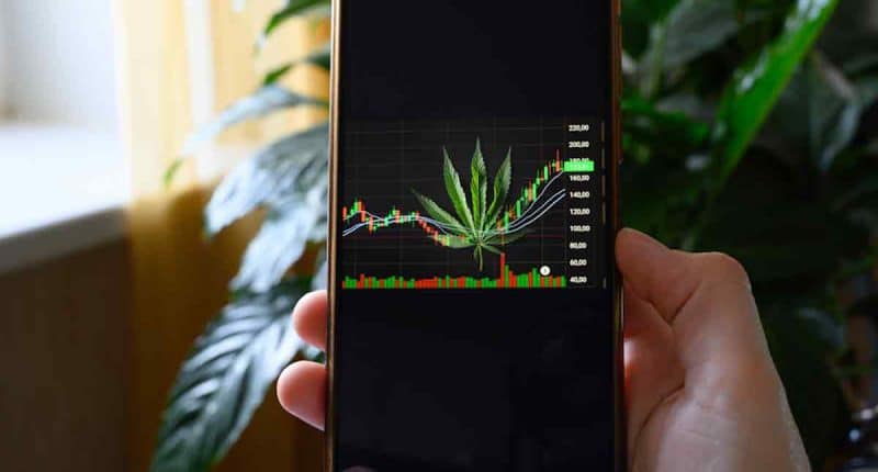 Best Cannabis Stocks To Buy As Septemeber Continues Declines