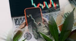 Best Cannabis Stocks To Watch In September