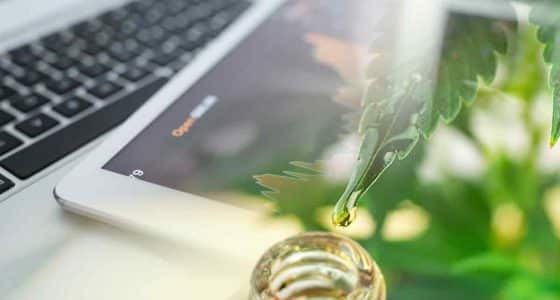 Mid-September 2025 Watchlist: Top Cannabis Stocks