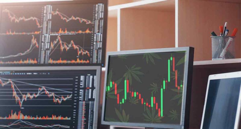 Best Pot Stocks For September Right Now