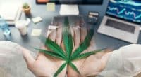 Cannabis Stocks To Buy In October 2022
