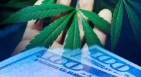 Pot Stocks 3rd Week In January With Gains