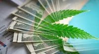 Top Marijuana Penny Stocks Right Now? 3 For Your List In September