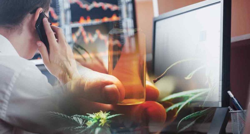 Pot Stocks To Close Out January