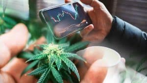 Top US Cannabis Stocks To Watch In This Downtrend