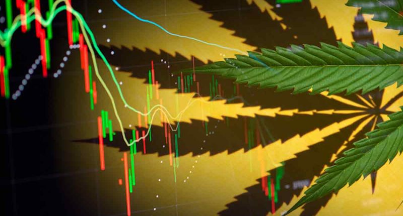 Top Pot Stocks 4th Week Of October