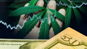 High Potential: Leading US Cannabis Companies to Watch Before March 2024