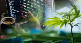 Best Cannabis Stocks To Buy In October