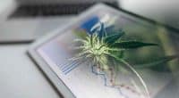 2 Top Canadian Marijuana Stocks For Watchlist Right Now