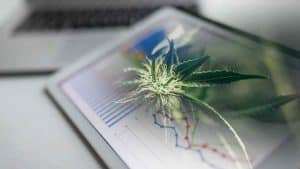 2 Top Canadian Marijuana Stocks For Watchlist Right Now