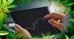 Best Marijuana Stocks To Buy? US Cannabis Stocks On Watch Now