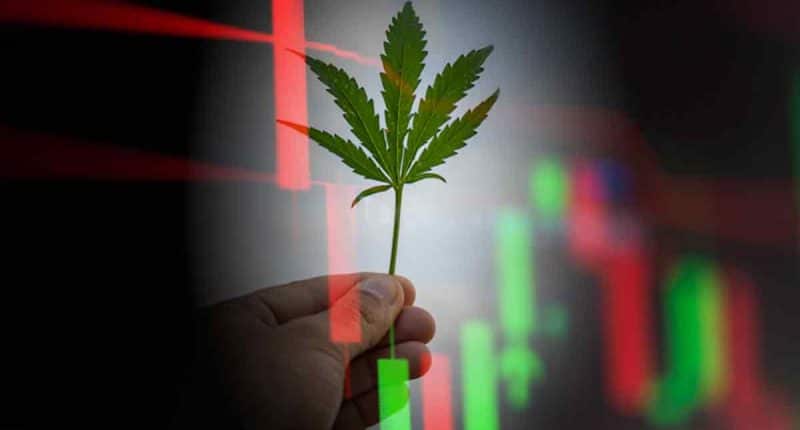 Best Marijuana Stocks For May 2024 Watchlist