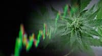 Best Pot Stocks To Buy 2nd Week In October