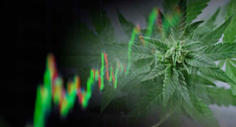 Best Pot Stocks To Buy 2nd Week In October