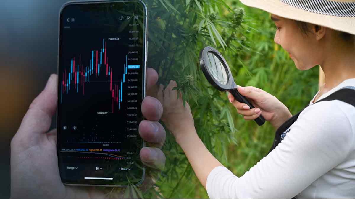 Cannabis Stocks For Gains In October 2022