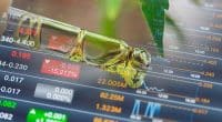 Best Ancillary Marijuana Stocks For October 2022?